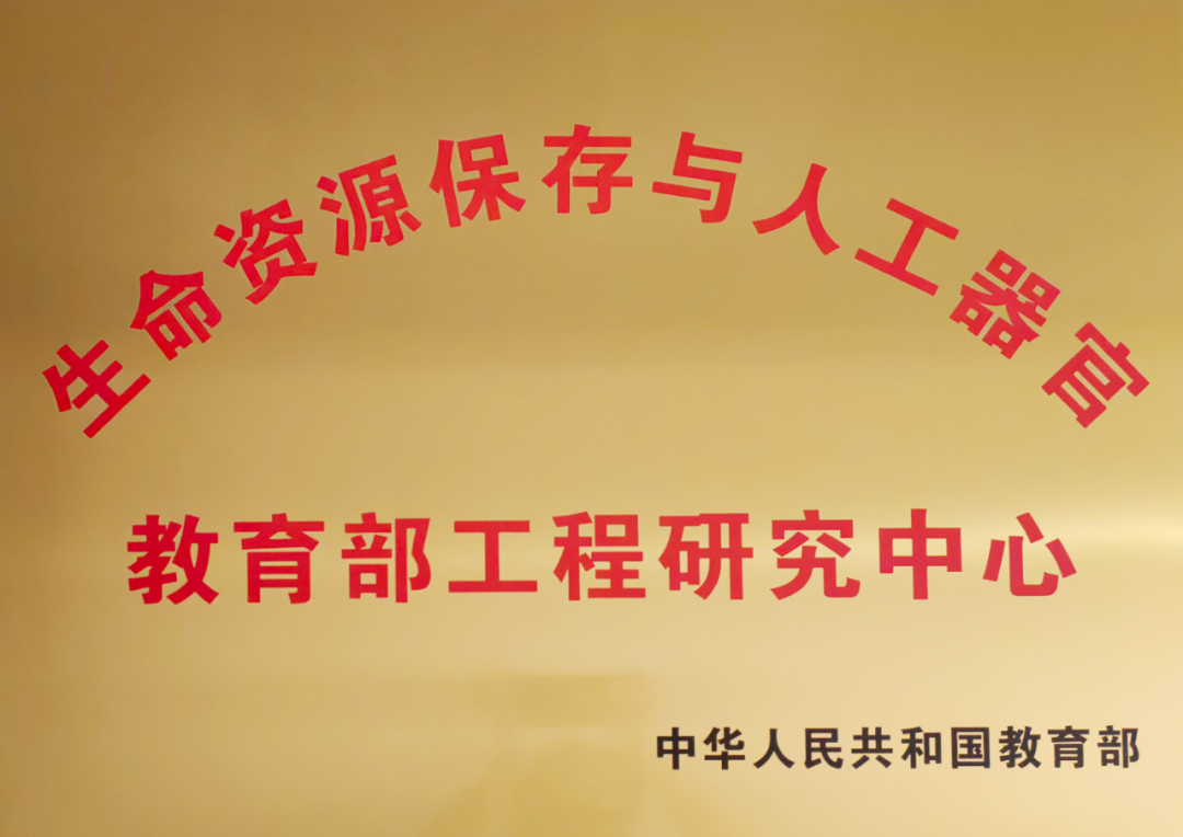 1684292399462659.png 640.png